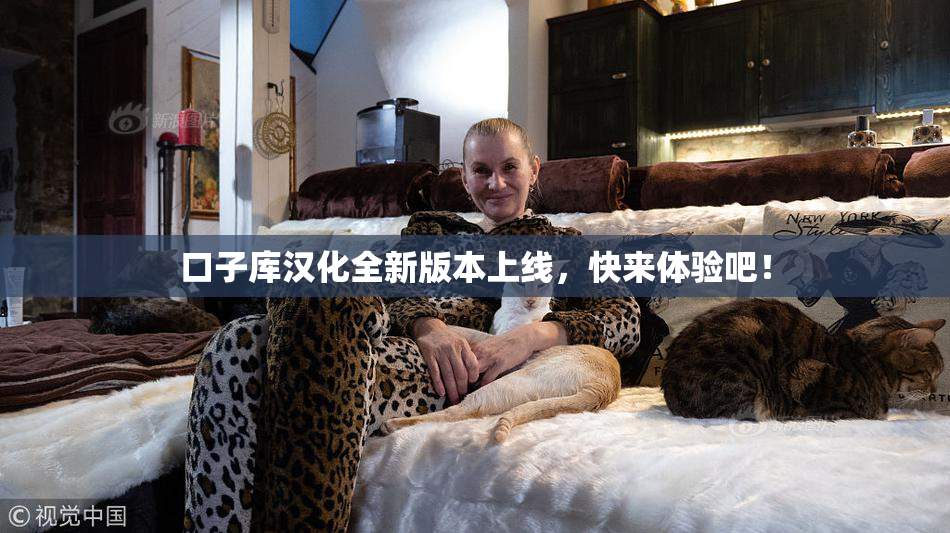 口子库汉化全新版本上线，快来体验吧！