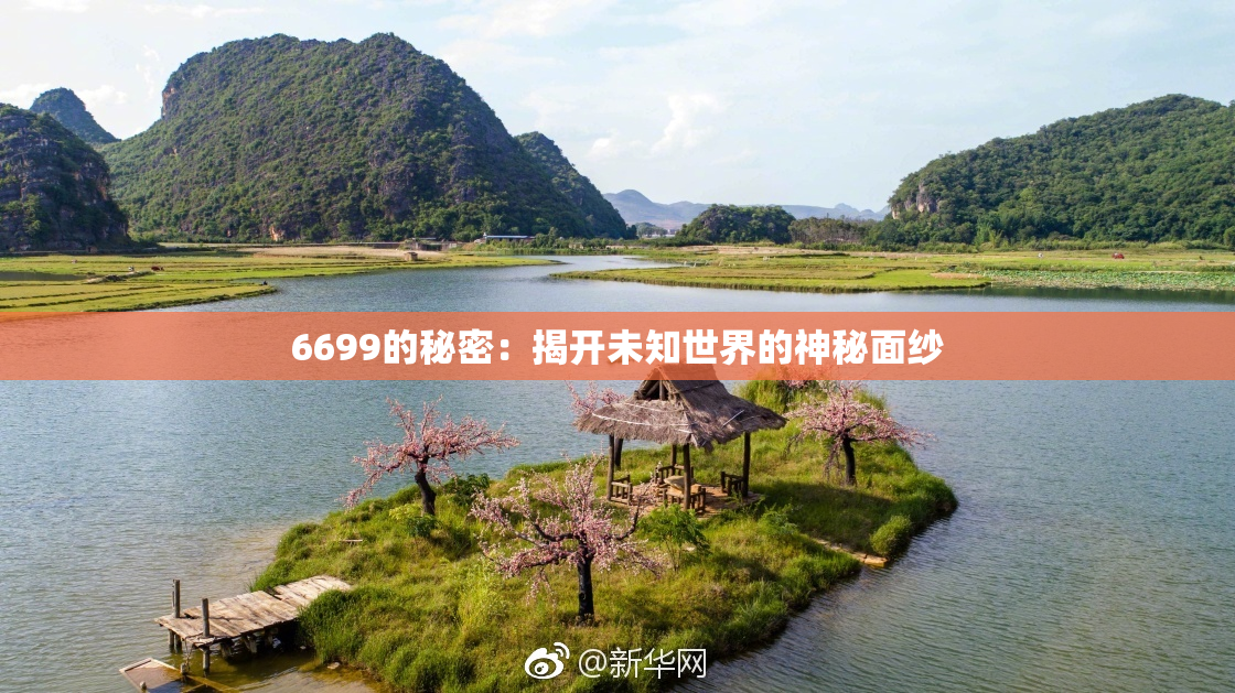 6699的秘密：揭开未知世界的神秘面纱