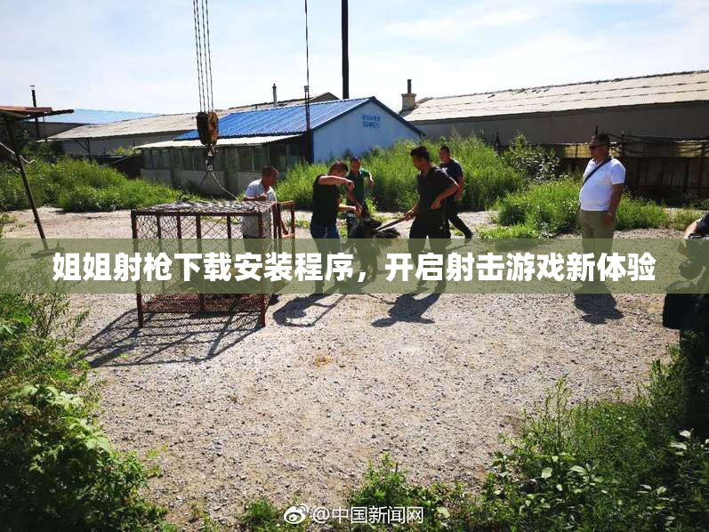 姐姐射枪下载安装程序，开启射击游戏新体验