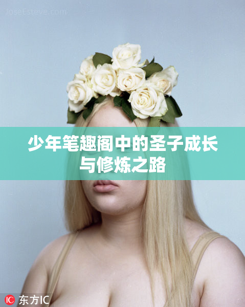 少年笔趣阁中的圣子成长与修炼之路