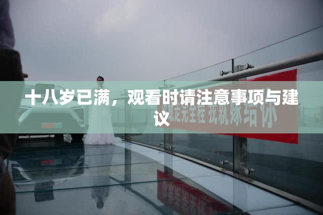 十八岁已满，观看时请注意事项与建议
