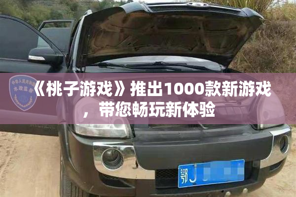 《桃子游戏》推出1000款新游戏，带您畅玩新体验