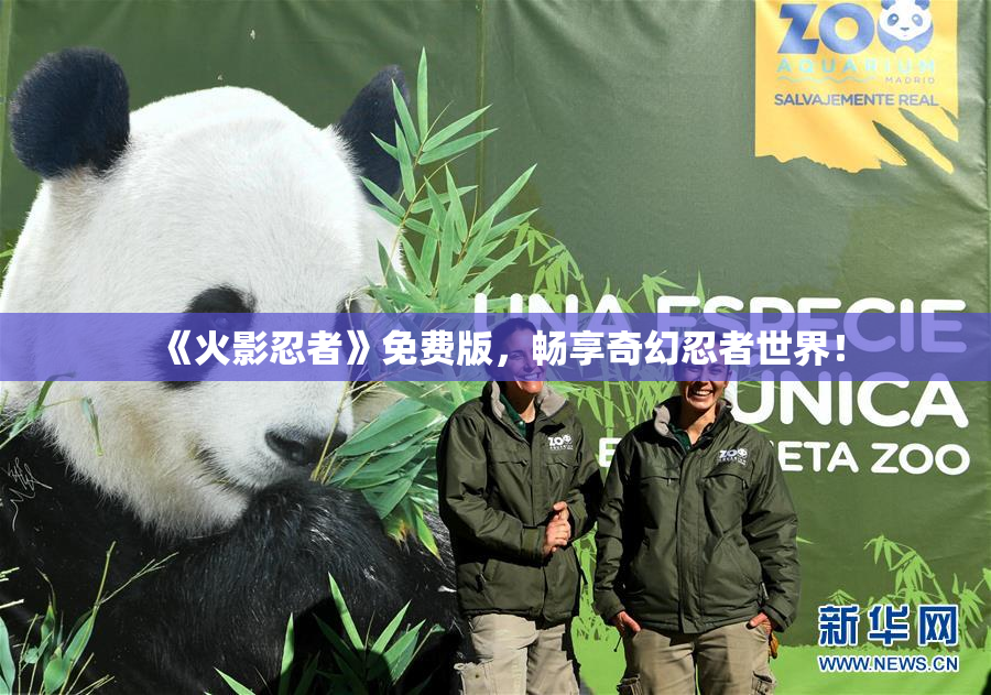 《火影忍者》免费版，畅享奇幻忍者世界！
