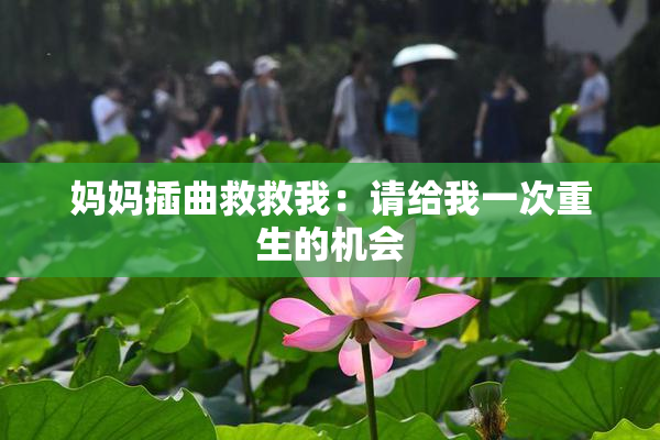 妈妈插曲救救我：请给我一次重生的机会