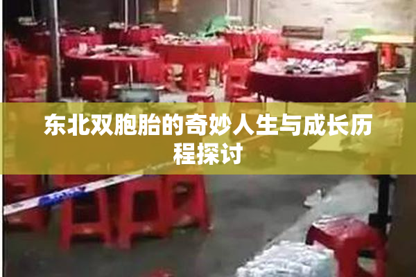 东北双胞胎的奇妙人生与成长历程探讨