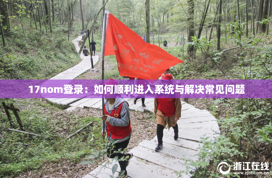 17nom登录：如何顺利进入系统与解决常见问题