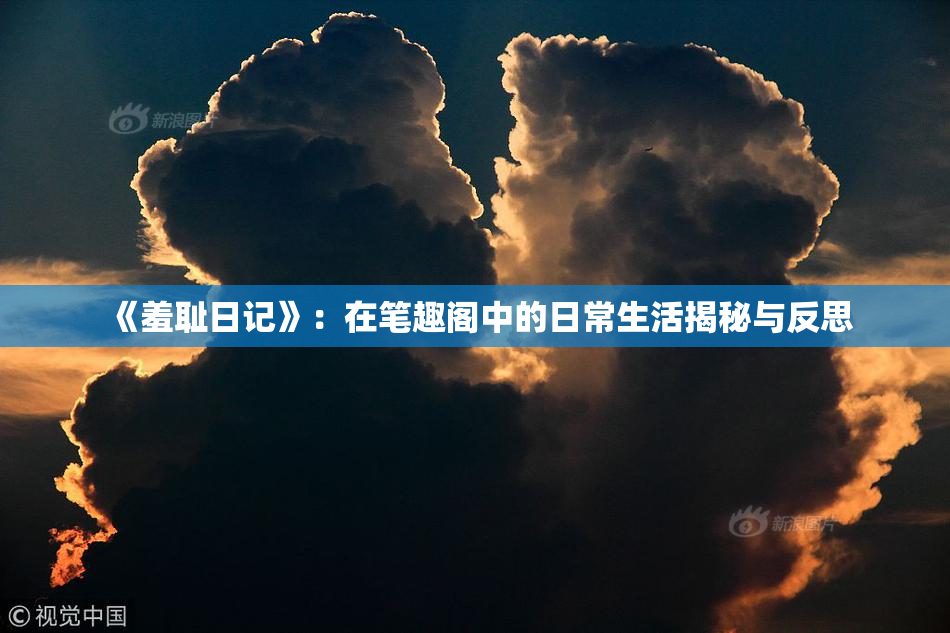 《羞耻日记》：在笔趣阁中的日常生活揭秘与反思