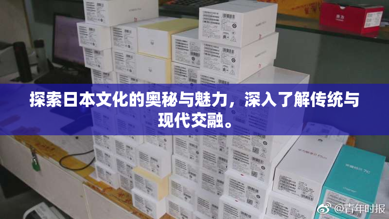 探索日本文化的奥秘与魅力，深入了解传统与现代交融。