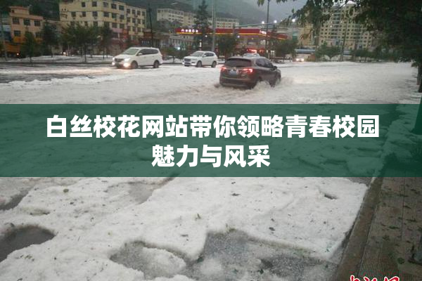 白丝校花网站带你领略青春校园魅力与风采