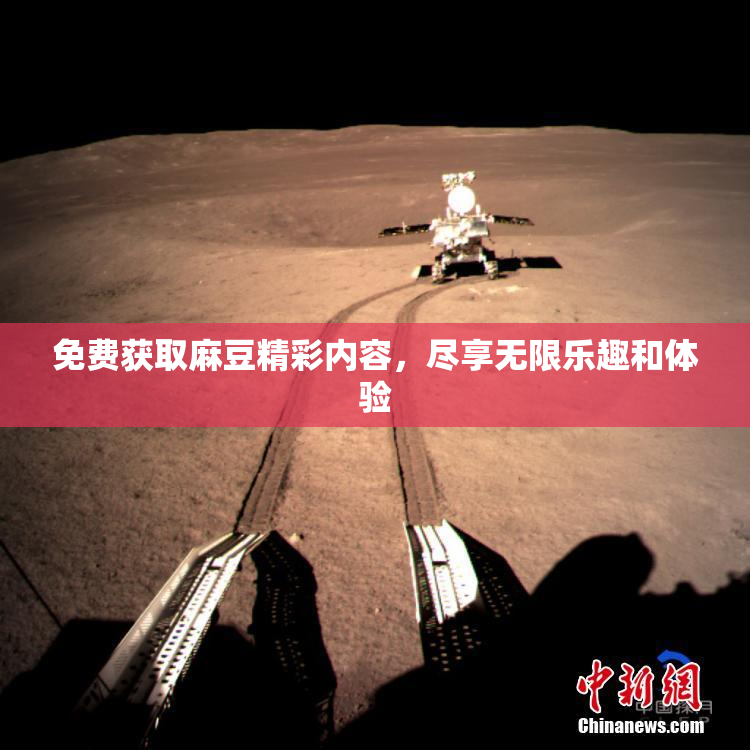免费获取麻豆精彩内容，尽享无限乐趣和体验