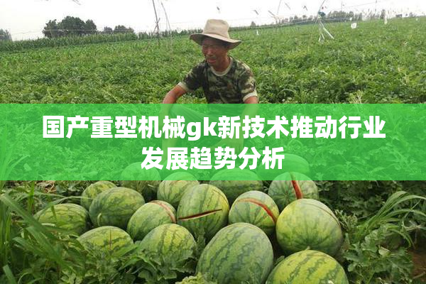 国产重型机械gk新技术推动行业发展趋势分析