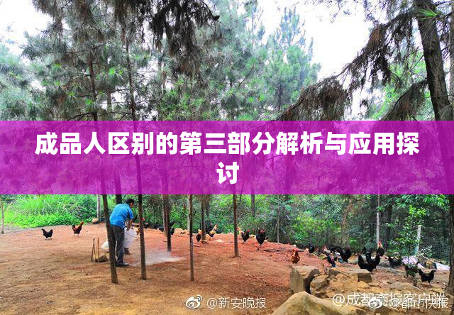 成品人区别的第三部分解析与应用探讨
