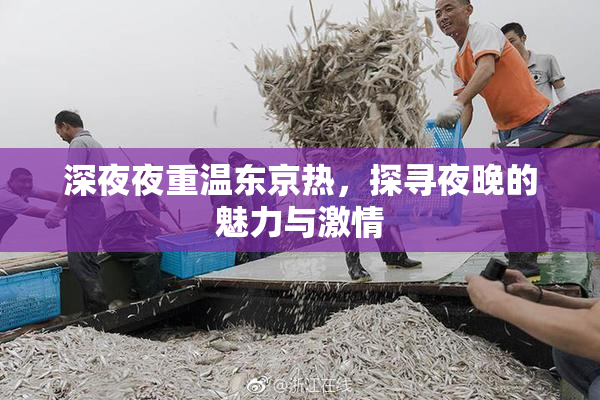深夜夜重温东京热，探寻夜晚的魅力与激情