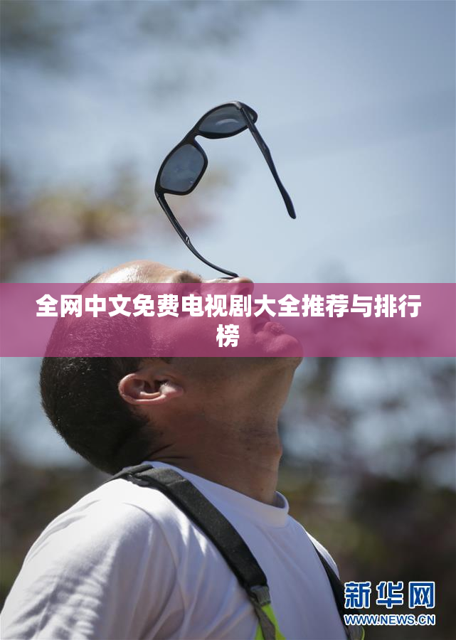 全网中文免费电视剧大全推荐与排行榜
