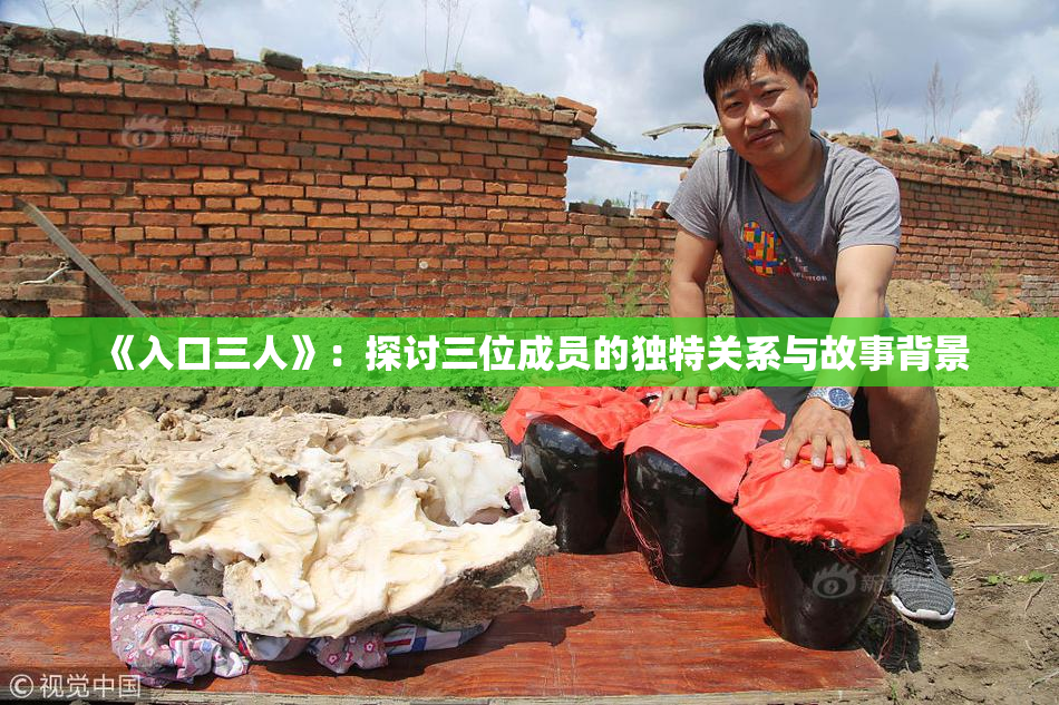 《入口三人》：探讨三位成员的独特关系与故事背景