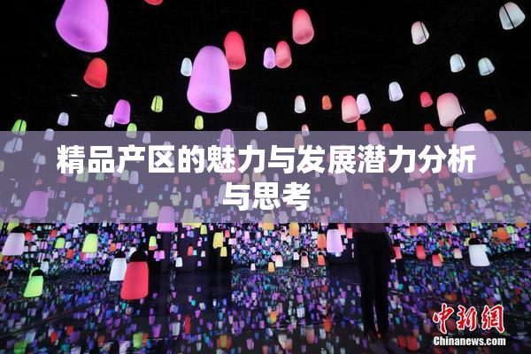 精品产区的魅力与发展潜力分析与思考