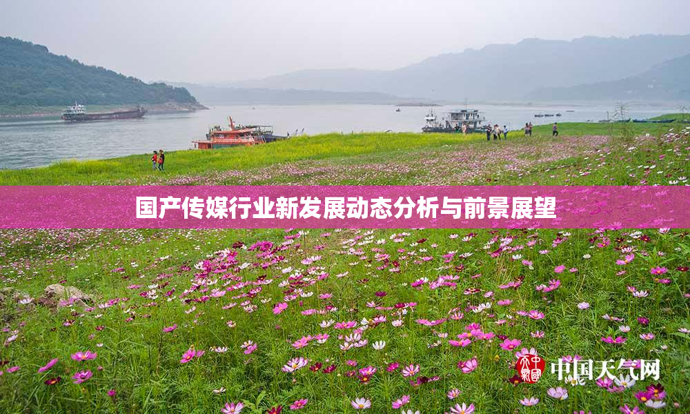 国产传媒行业新发展动态分析与前景展望