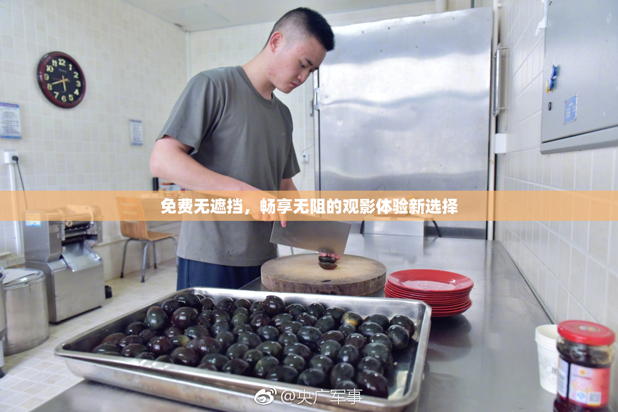 免费无遮挡，畅享无阻的观影体验新选择