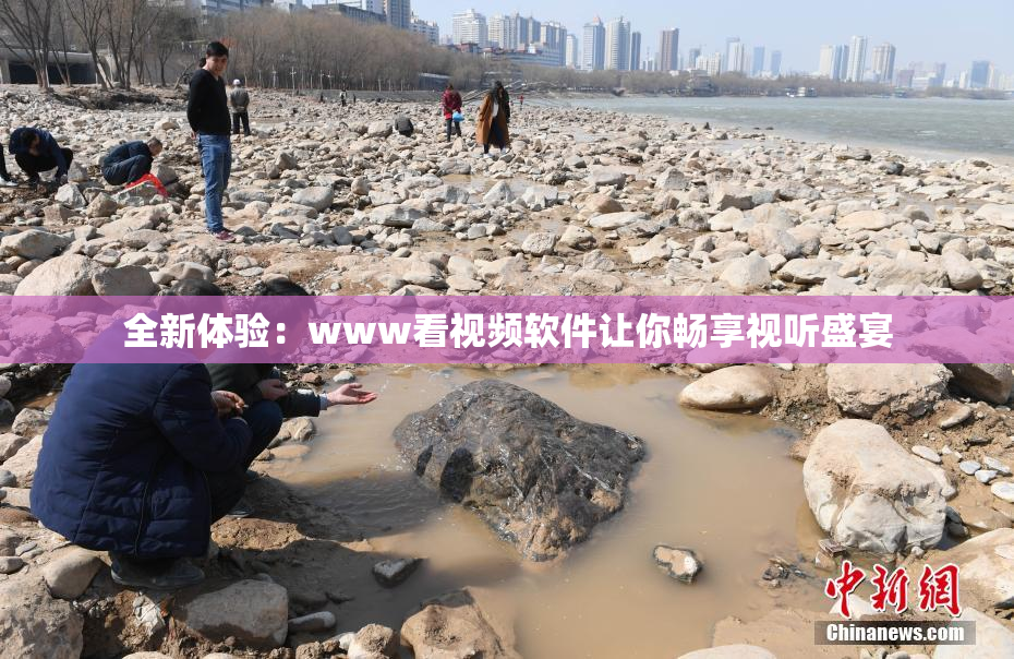 全新体验：www看视频软件让你畅享视听盛宴