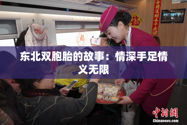 东北双胞胎的故事：情深手足情义无限
