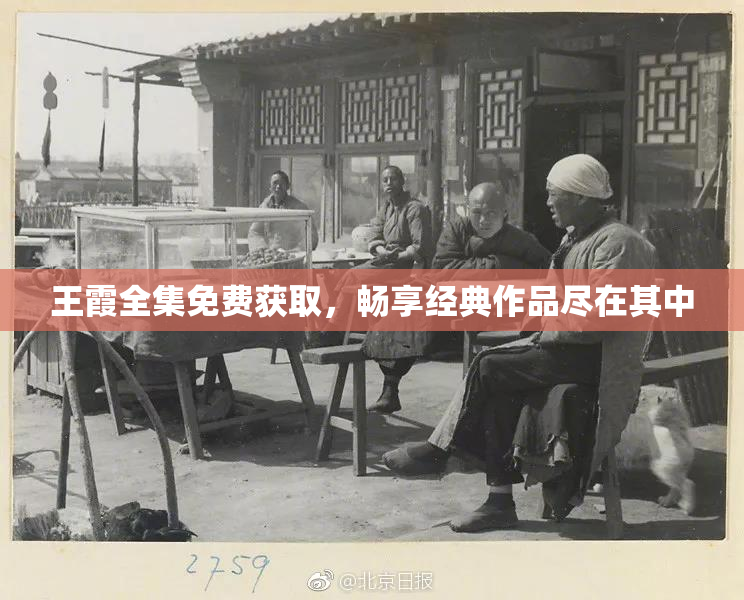 王霞全集免费获取，畅享经典作品尽在其中