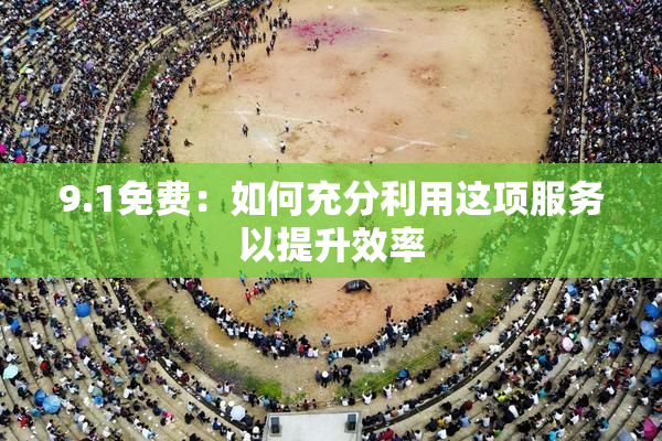 9.1免费：如何充分利用这项服务以提升效率