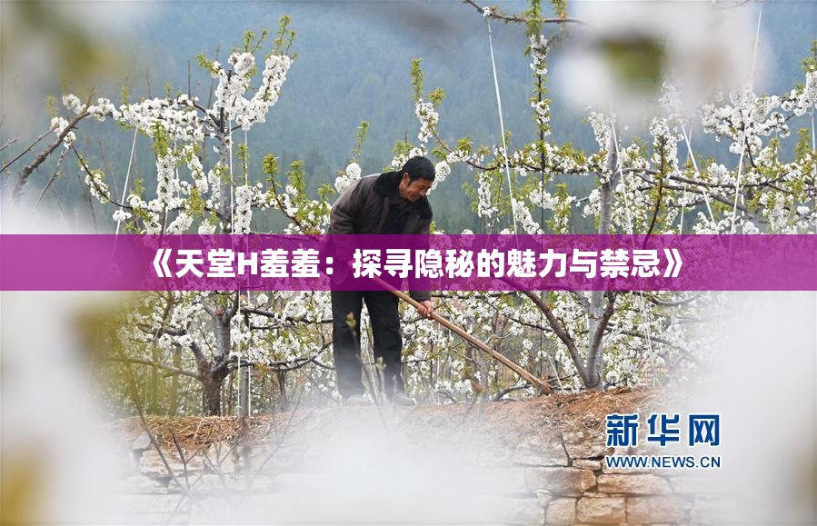 《天堂H羞羞：探寻隐秘的魅力与禁忌》