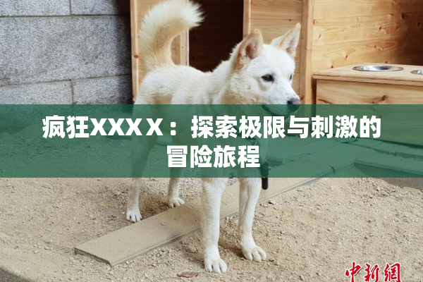 疯狂XXXⅩ：探索极限与刺激的冒险旅程
