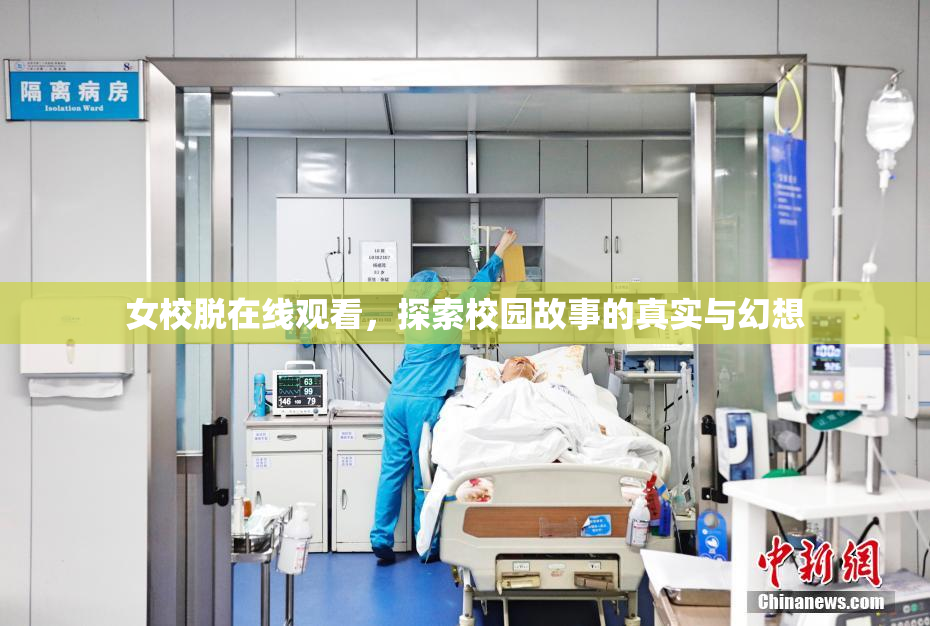 女校脱在线观看，探索校园故事的真实与幻想
