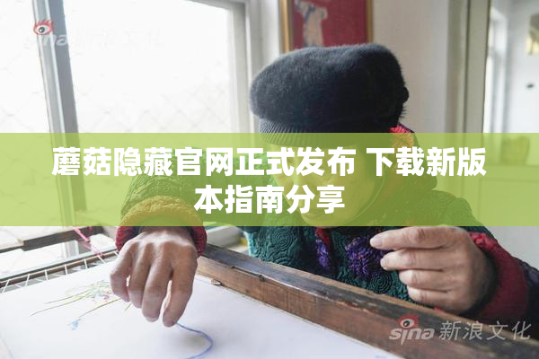 蘑菇隐藏官网正式发布 下载新版本指南分享