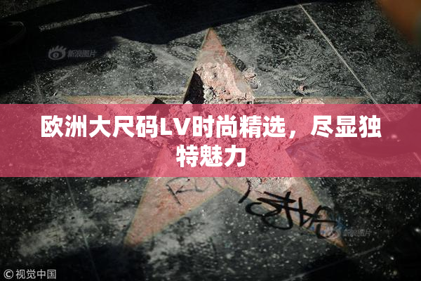 欧洲大尺码LV时尚精选，尽显独特魅力