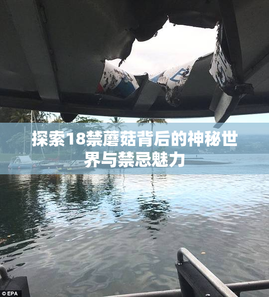 探索18禁蘑菇背后的神秘世界与禁忌魅力