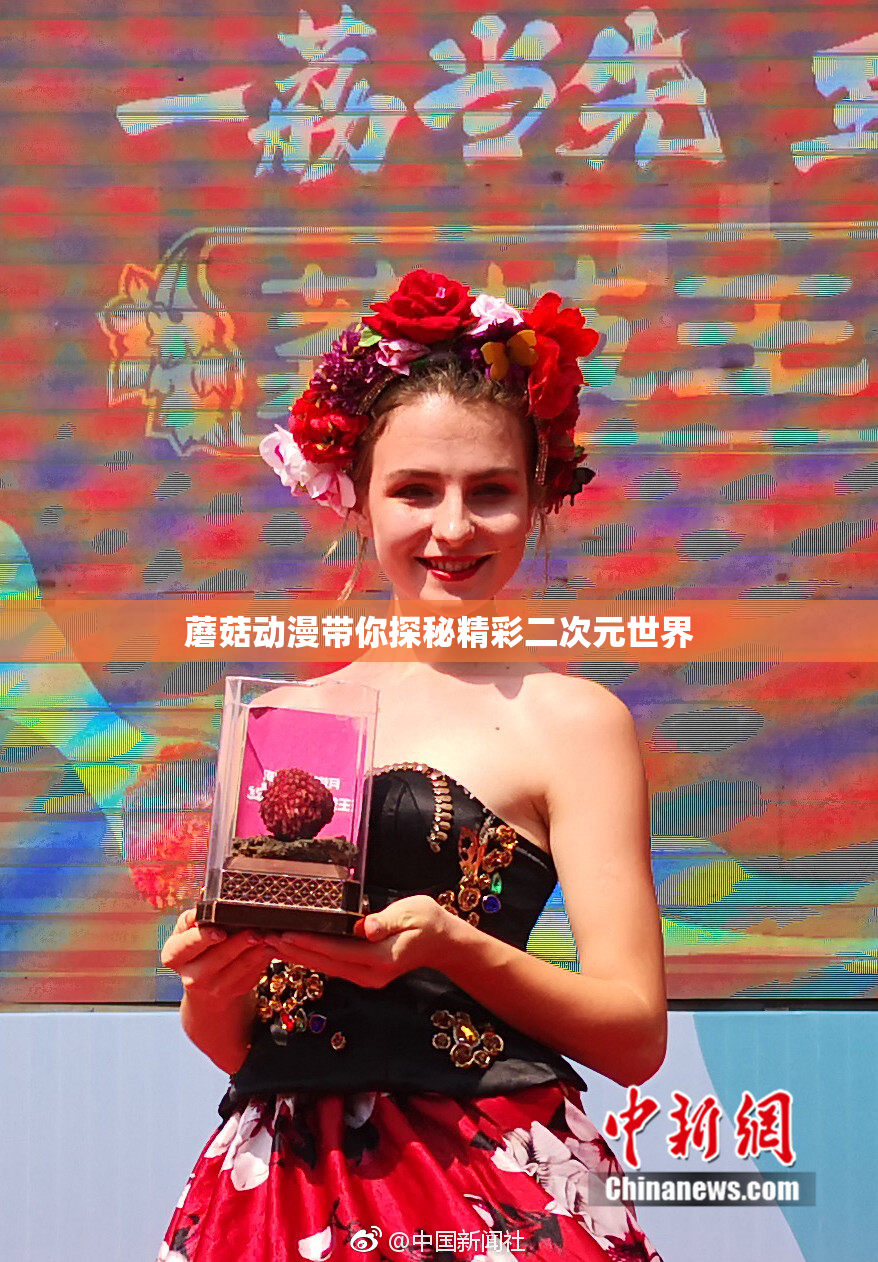 蘑菇动漫带你探秘精彩二次元世界