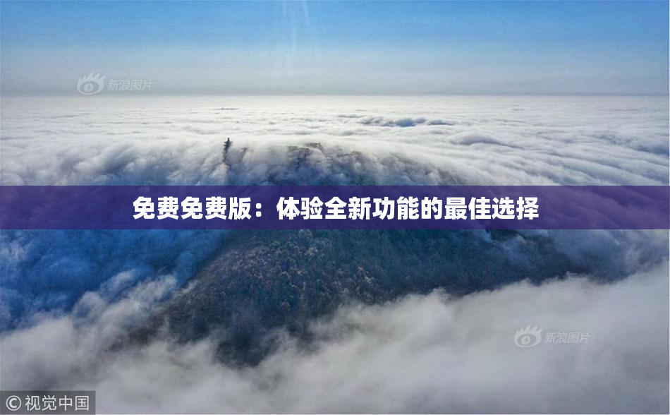 免费免费版：体验全新功能的最佳选择
