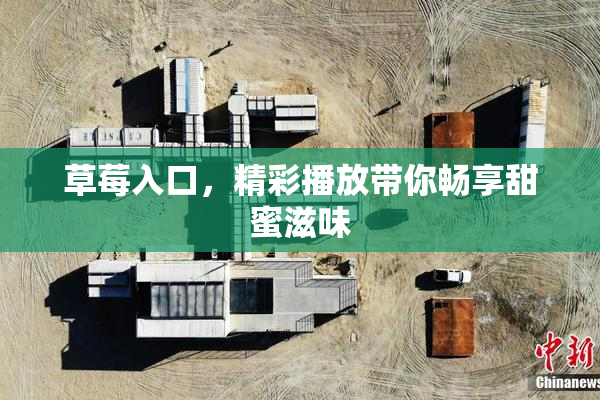 草莓入口，精彩播放带你畅享甜蜜滋味