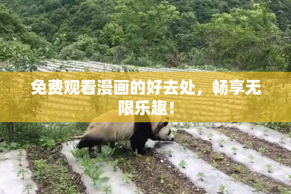 免费观看漫画的好去处，畅享无限乐趣！