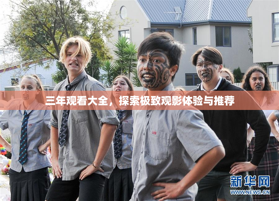 三年观看大全，探索极致观影体验与推荐
