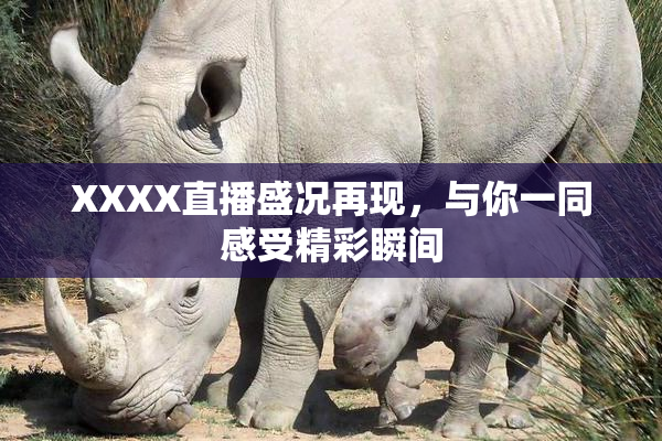 XXXX直播盛况再现，与你一同感受精彩瞬间