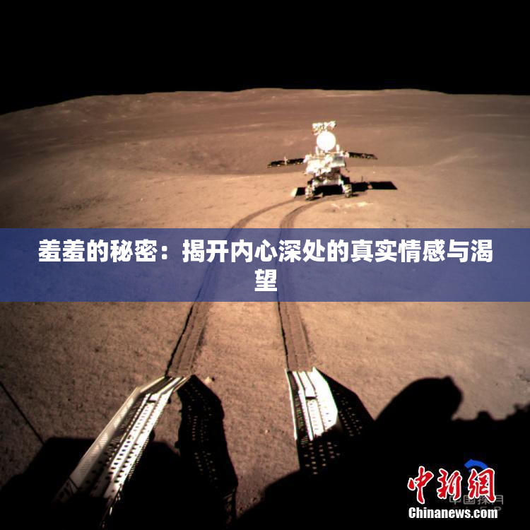 羞羞的秘密：揭开内心深处的真实情感与渴望