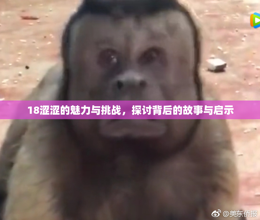 18涩涩的魅力与挑战，探讨背后的故事与启示