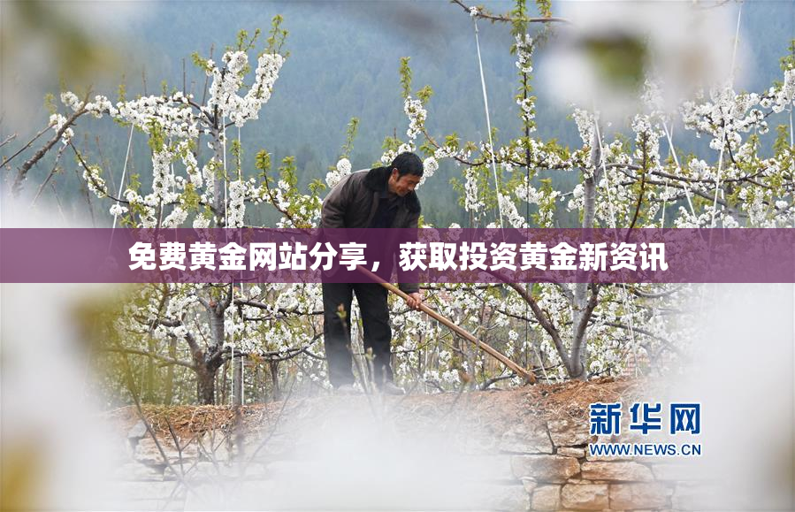 免费黄金网站分享，获取投资黄金新资讯