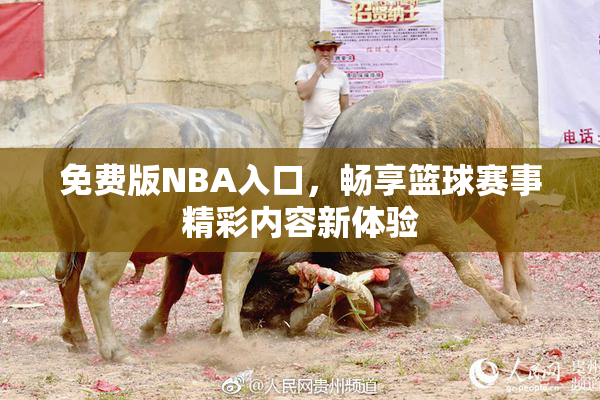 免费版NBA入口，畅享篮球赛事精彩内容新体验