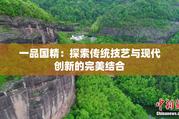 一品国精：探索传统技艺与现代创新的完美结合