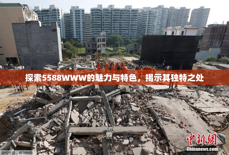 探索5588WWW的魅力与特色，揭示其独特之处