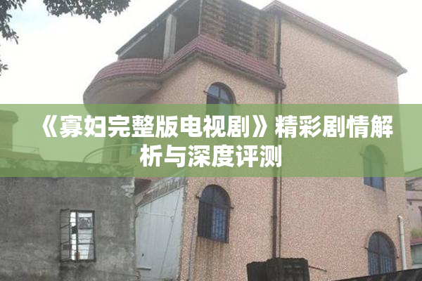 《寡妇完整版电视剧》精彩剧情解析与深度评测
