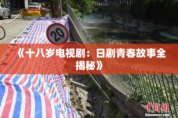 《十八岁电视剧：日剧青春故事全揭秘》