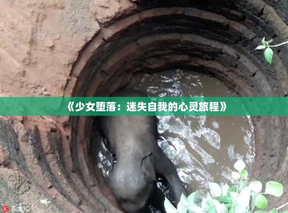 《少女堕落：迷失自我的心灵旅程》