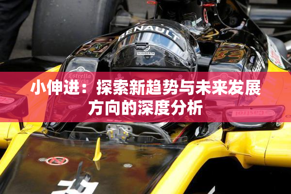小伸进：探索新趋势与未来发展方向的深度分析