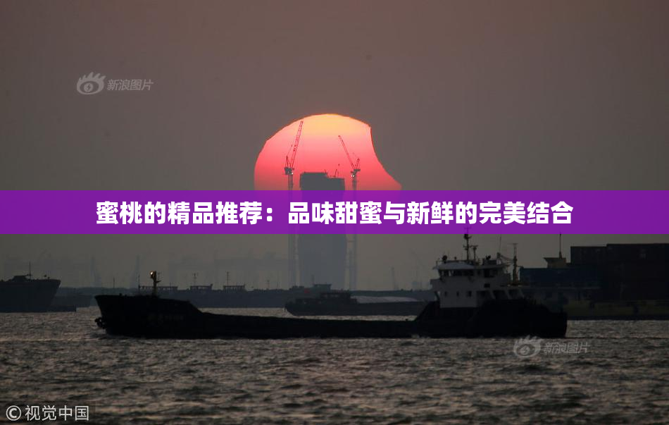 蜜桃的精品推荐：品味甜蜜与新鲜的完美结合