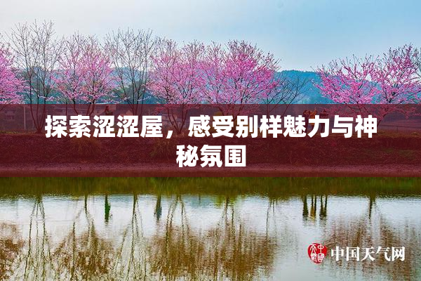 探索涩涩屋，感受别样魅力与神秘氛围